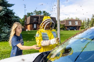 கனடா சாலையில் கொட்டிய 5 மில்லியன் தேனீக்கள்: வாகன ஓட்டிகளுக்கு எச்சரிக்கை