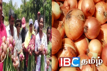 வெங்காய விவசாயிகள் அரசிடம் விடுத்துள்ள கோரிக்கை