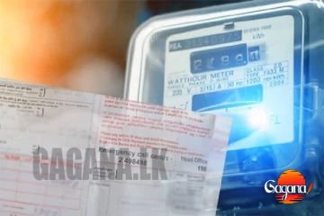 විදුලි බිල අඩු වෙන්නද යන්නේ? ජපානයෙන් කොළ එළියක්