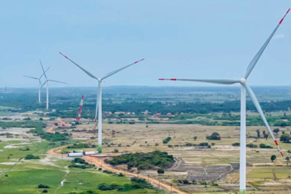 மன்னார் காற்றாலை திட்டம்: புலம்பெயர் பறவைகள் தொடர்பில் ஆய்வு! | Mannar Wind Farm Project Study On Migratory Birds மன்னார் காற்றாலை திட்டம்: புலம்பெயர் பறவைகள் தொடர்பில் ஆய்வு! | Mannar Wind Farm Project Study On Migratory Birds