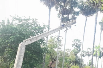 யாழ்ப்பாணத்தில் பலத்த காற்றுடன் கூடிய மழை