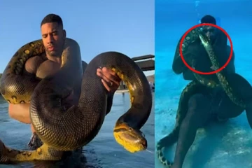 நீருக்கடியில் அனகோண்டாவுடன் கட்டிப்புரளும் நபர்: வைரலாகும் வீடியோ