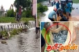வவுனியாக் குளத்தில் குவியும் மீன்கள் : போட்டி போட்டு பிடிக்கும் மக்கள்