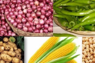 விவசாயிகளுக்கு இலவச காப்புறுதி வழங்க விவசாய அமைச்சு தீர்மானம்