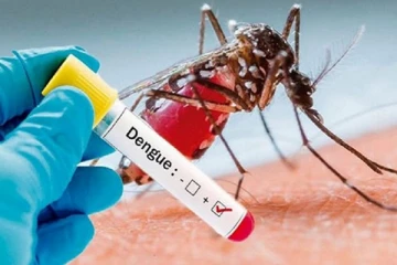 அதிகரித்து வரும் டெங்கு நோயாளர்களின் எண்ணிக்கை