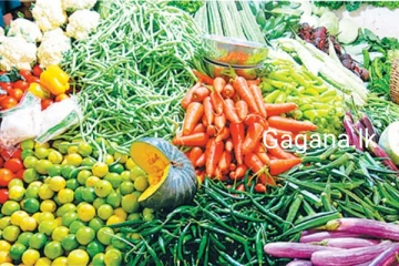 එළවළු මිළ ගණන් සීඝ්‍රයෙන් පහළ බසී..අද සටහන් වූ මිල ගණන් මෙන්න..