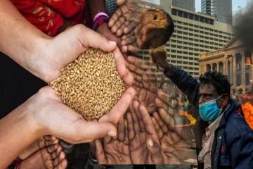 கடும் உணவு பாதுகாப்பு நெருக்கடியை எதிர்கொள்ளும் இலங்கை