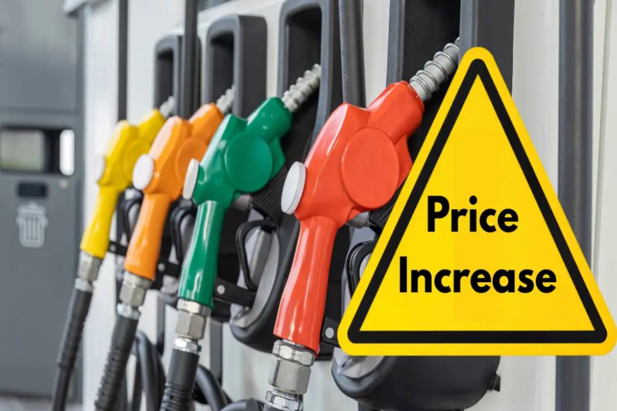 740 ரூபாவாக உயரும் எரிபொருள் நிலை..! பெறும் நெருக்கடியில் இலங்கை பொருளாதாரம் | Government S Stance On Fuel Price Hike