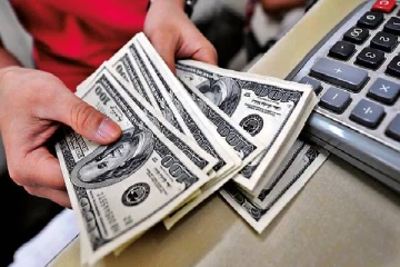 இலங்கையில் டொலர்களை கண்டுபிடிக்கும் யோசனையை அரசாங்கத்திடம் முன்வைத்துள்ள வைத்தியர்