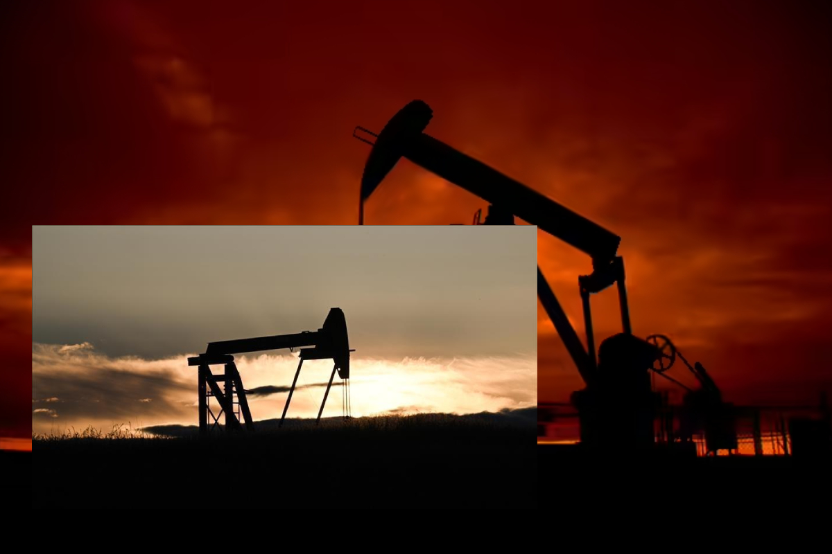 உலக சந்தையில் கச்சா எண்ணெய் விலை சரிவு | Crude Oil Prices Fall In The World Market உலக சந்தையில் கச்சா எண்ணெய் விலை சரிவு | Crude Oil Prices Fall In The World Market