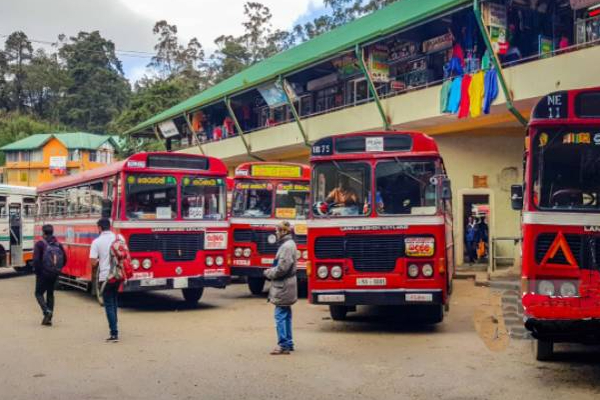 விசேட அறிவிப்பை வெளியிட்ட யாழ் மோட்டார் வாகன போக்குவரத்து திணைக்களம்! | Jaffna Department Of Motor Vehicles Special Notice