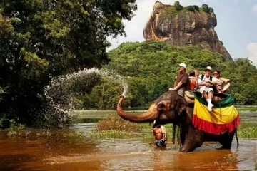 சுற்றுலாப் பயணிகளின் எண்ணிக்கை அதிகரிப்பு