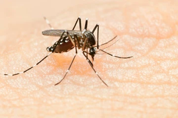 மட்டக்களப்பில் அதிகரிக்கும் மற்றுமொரு நோயின் தாக்கம்