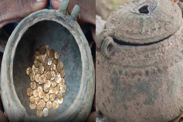 தமிழ்நாட்டில் கிடைத்த தங்க புதையல் - விவசாய நிலத்தில் இருந்த தங்க நாணயங்கள் | 86 Gold Coins Found Levelling Land In Tirupathur
