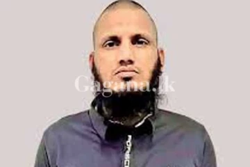 ඇප ලැබූ පුතා පැන ගියාට පියාට රුපියල් ලක්ෂ විස්සක දඩයක්.