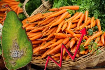 மீண்டும் வரலாறு காணாத வகையில் உயர்ந்த கரட்டின் விலை