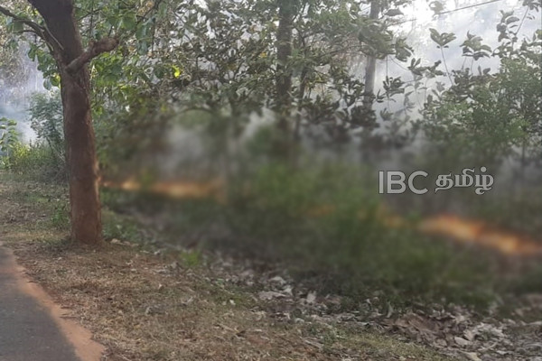 முல்லைத்தீவில் ஏற்பட்ட தீ பரவல்: தீக்கிரையாகிய தேக்கங்காடு | Mullaitivu 6 Acres Lost To Forest Fire