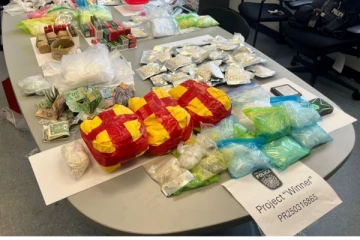 கனடாவில் 1 மில்லியன் டொலர் பெறுமதியான போதைப் பொருளுடன் ஒருவர் கைது