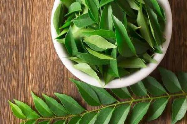 முடி உதிர்வு பிரச்சனையா? தேங்காய் எண்ணெயுடன் இந்த பொருட்களை கலந்து பயன்படுத்துங்கள் | Hair Loss Problem Mix Ingredients Coconut Oil