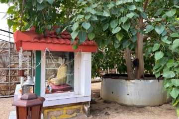 கச்சதீவில் இரகசியமான முறையில் அந்தோனியார் இடத்தை ஆக்கிரமித்த புத்தர் (Video)