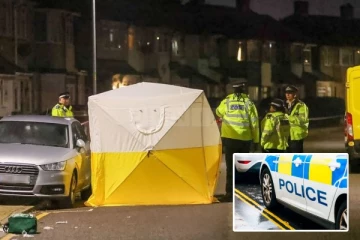 பெண் மற்றும் 2 குழந்தைகளுக்கு கத்திக்குத்து ; தீவிர விசாரணையில் பொலிஸார்