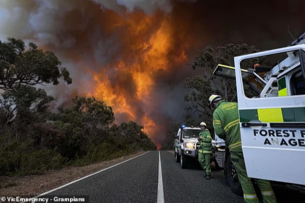 otways bushfire urges leave now warning