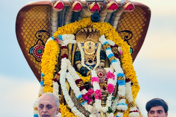 பல்லாயிரக்கணக்கான பக்தர்கள் சூழ தீர்த்தமாடிய யாழ். வல்லிபுர ஆழ்வார் | Large Crowds Attend Vallipuram Theertham Festival