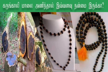 கருங்காலி மாலை அணிந்தால் இவ்வளவு நன்மை இருக்கா? முழுசா தெரிஞ்சிக்கோங்க