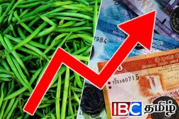 நாட்டில் உச்சம் தொட்டுள்ள போஞ்சி விலை!