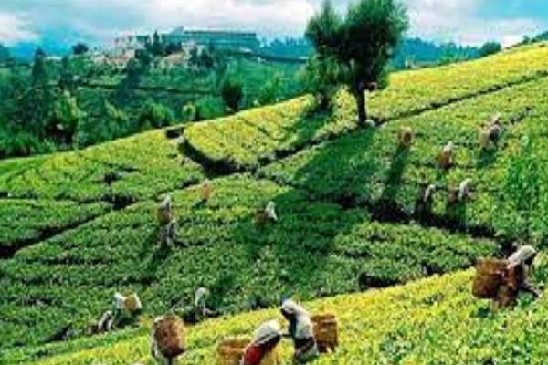 மலையக மக்களை சிதைக்க பெரும் முயற்சி: அருட்தந்தை மா.சத்திவேல் குற்றச்சாடட்டு | North Eastern Highlands Let Reverend Satthivel