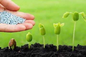 முல்லைத்தீவு மாவட்டத்தில் 5000 ஏக்கருக்கான உரம் தட்டுப்பாடு