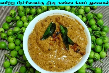Sundaikaai Thuvayal: வயிற்று பிரச்சினைக்கு குட்பை கூறும் சுண்டைக்காய்... துவையல் செய்வது எப்படி?