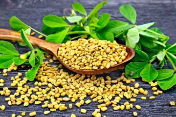 வெறும் வயிற்றில் வெந்தயம்! அதிசயத்தை கண்கூடாக பார்ப்பீர்கள்