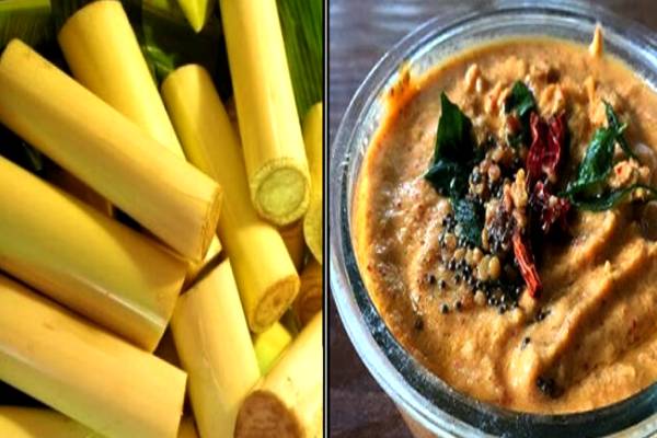 ஏறி கிடக்கும் உடல் எடையை குறைக்கும் வாழைத்தண்டு துவையல்
