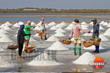 ලුණු මිල වෙනස් වෙයි