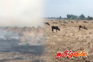 திருகோணமலையில் வைக்கோலுக்குத் தீ வைப்பு! பொதுமக்கள் விடுத்துள்ள கோரிக்கை