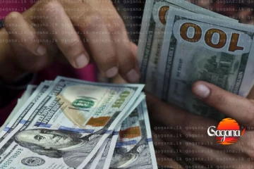 අද ප්‍රධාන බැංකු වල ඩොලර් අනුපාතය ස්ථාවරයි