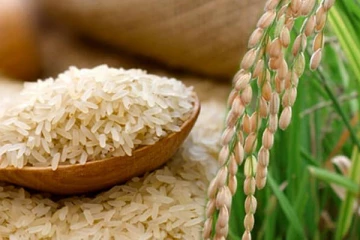 அரிசி விலை   அதிகரிப்பு!