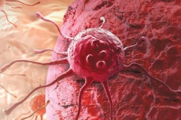 புற்றுநோய்க்கு மருந்து கண்டுபிடிப்பு : மருத்துவ துறையின் புதிய சாதனை!