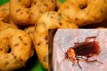 யாழில் பிரபல சைவ உணவகத்தில் வடையில் காணப்பட்ட கரப்பான் பூச்சி!