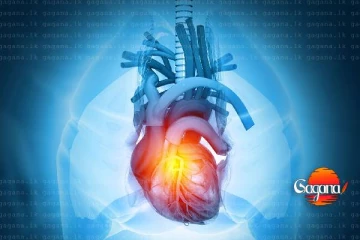 සෞඛ්‍ය අංශ වලින් තවත් භයානක හෙළිදරව්වක්