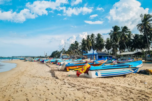 கடற்கரையில் கரையொதுங்கிய பெருமளவு சிவப்பு நண்டுகள் | Large Numbers Of Red Crabs In Trincomalee Beach கடற்கரையில் கரையொதுங்கிய பெருமளவு சிவப்பு நண்டுகள் | Large Numbers Of Red Crabs In Trincomalee Beach