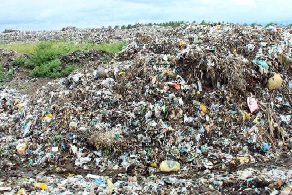 கொழும்பில் குப்பை மேட்டில் இருந்து துப்பாக்கி மீட்பு | Gun Recovered From Garbage Dump In Colombo