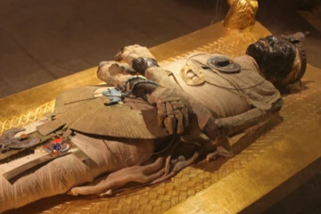 தீராத மர்மமாகவே தொடரும் எகிப்திய மம்மிகள்! உலகில் தென்படும் அழகிய ஆபத்து?