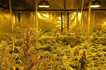 சுவிட்சர்லாந்தில் புலம்பெயர்ந்தவர்கள்  செய்த மோசமான செயல்;  வசமாக சிக்கிய 12 பேர்!