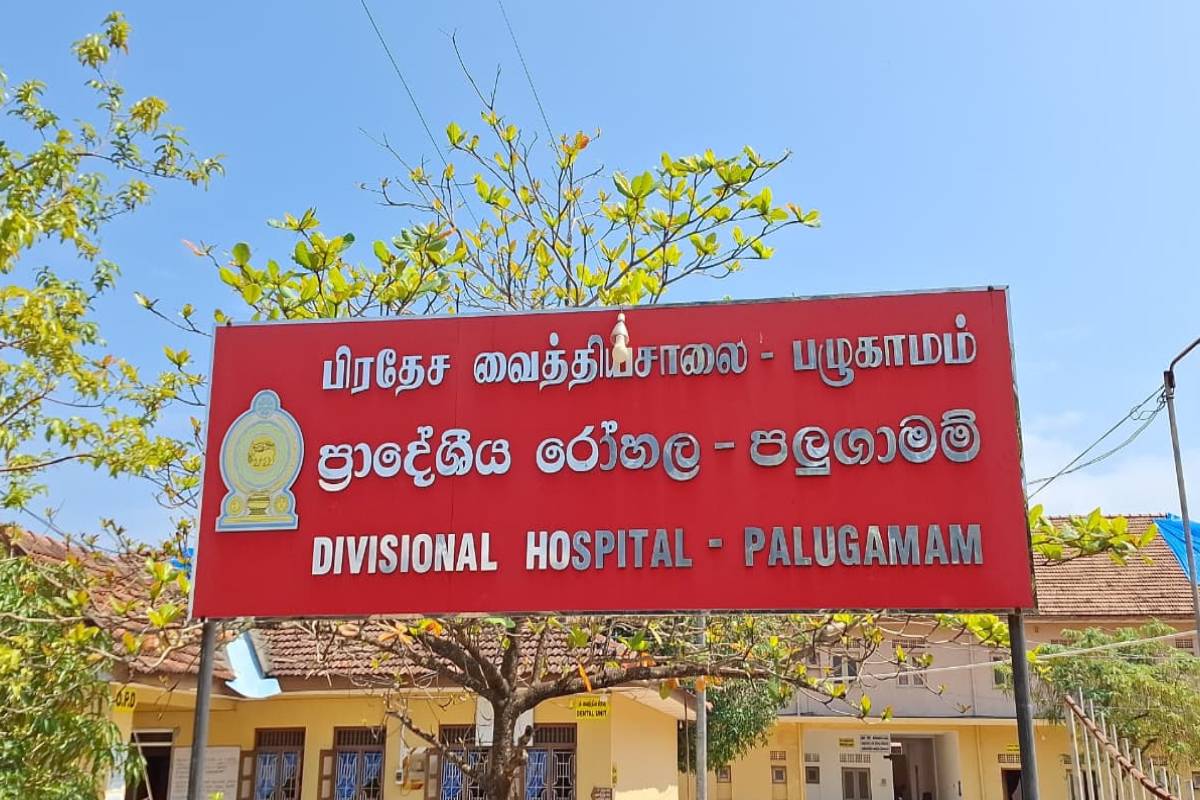 தமிழர் பகுதியில் நீர்த்தொட்டியில் மூழ்கி 2 வயது சிறுவன் உயிரிழப்பு | 2 Year Old Boy Dies After Drowning Water Tank