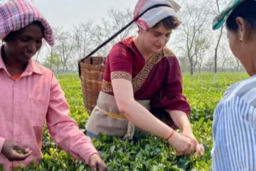 தேயிலை பறித்து மகிழ்ந்த பிரியங்கா காந்தி