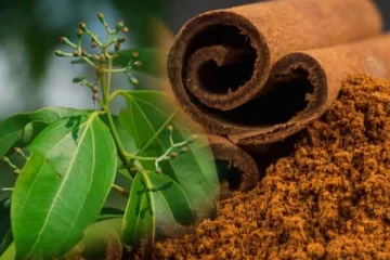 250 மில்லியன் டொலர் வரை வருமானம் ஈட்ட திட்டம் - ஏற்றுமதியை இரட்டிப்பாக்கும் இலங்கை