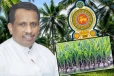 தென்னை செய்கை பாதிப்புக்கு காப்புறுதி : அமைச்சர் வெளியிட்ட அறிவிப்பு