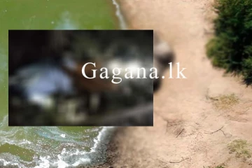 අභිරහස් මරණ දෙකක් හමුවෙයි.